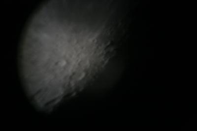 img_7337.jpg
